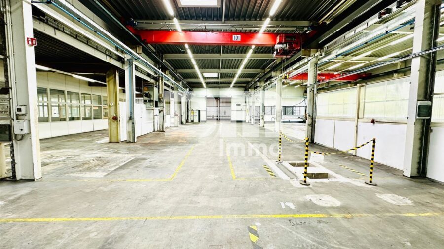Produktions / Lagerkomplex inkl. Büros mit Anbau Verladehalle und Freiflächen - Haupthalle - Produktion / Lager